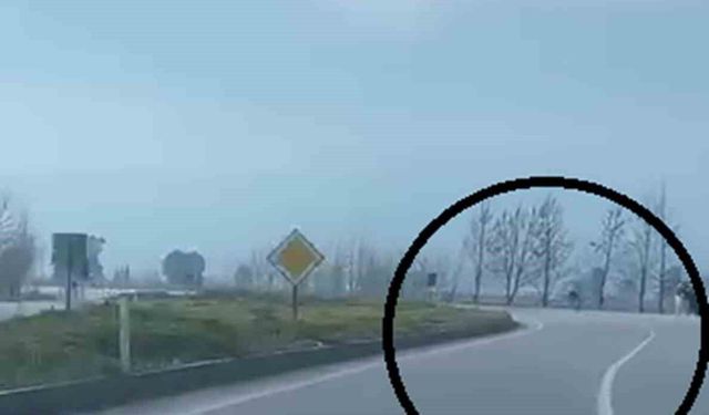 Akrobatik hareketler yapan motosiklet sürücüsü tarlaya uçtu