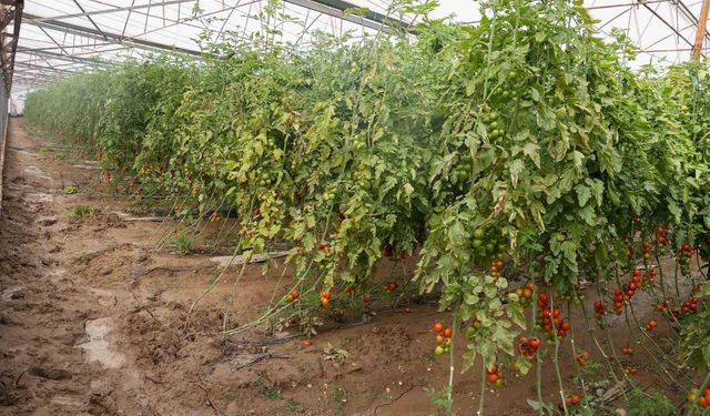 Aksu'da sağanak, sel, hortum ve doludan 23 mahalle, 500 çiftçi zarar gördü