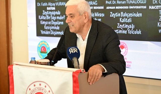 Antalya'da zeytinlik alan 20 yılda 2 katına çıktı