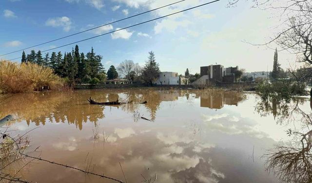 Bodrum'da selin tablosu gün ağarınca ortaya çıktı
