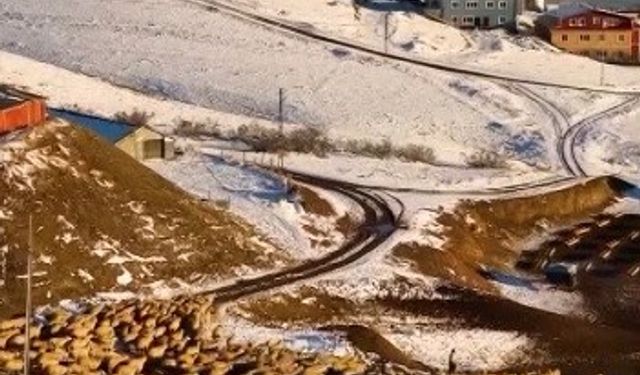 Dağın huzuru, emeğin sesi: İliç'te küçükbaş hayvancılık