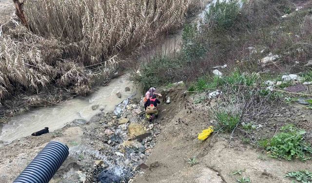 Dere yatağına düşen oğlağı kurtarmak isteyen kadın mahsur kaldı