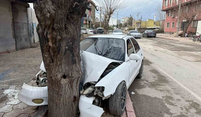 Ehliyetsiz sürücünün kontrolünü kaybettiği otomobil ağaca çarptı... O anlar kamerada