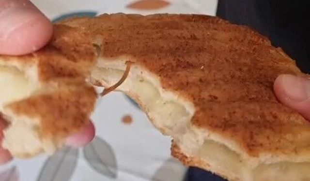 Ekmekten paket lastiği çıktı