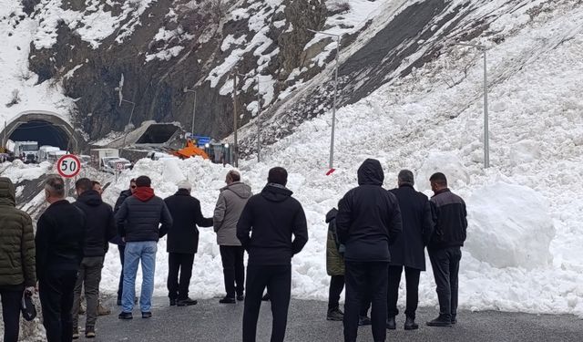 Hakkari-Van kara yoluna çığ düştü