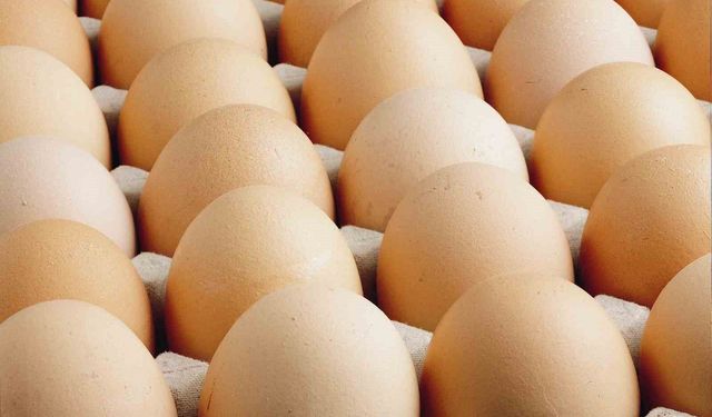 Kişi başına düşen yumurta üretimi 15 adet azaldı