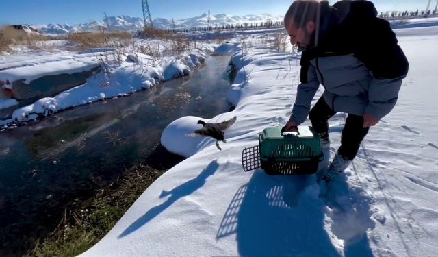Soğuk hayata mola verdirdi