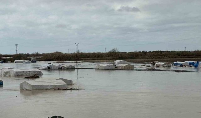 Tarsus'ta 8 bin dönüm tarım arazisi sular altında kaldı