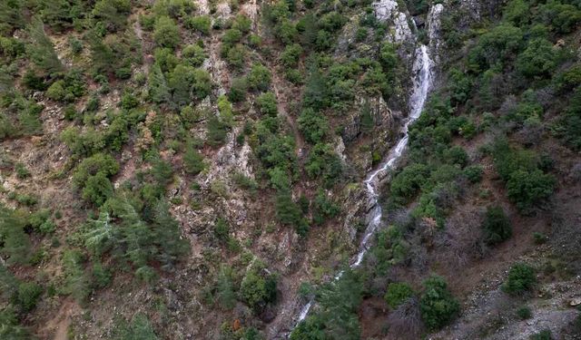 Taşkınlara neden olan yağmurlar kuruyan şelaleyi canlandırdı