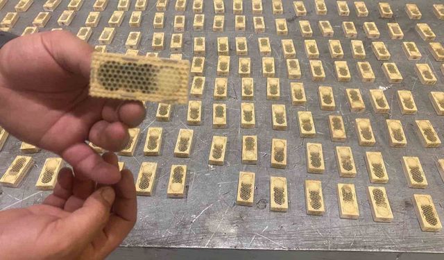 Ticaret Bakanlığı, 2025 yılında da kaçak canlı hayvan ticaretine geçit vermedi