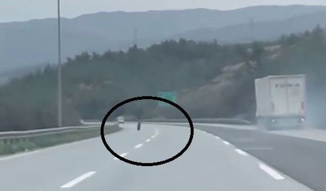 Tırdan fırlayan lastik otobanda yüzlerce metre ilerledi