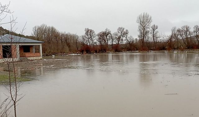 Tokat'ta Çekerek Irmağı taştı, tarım arazileri sular altında kaldı