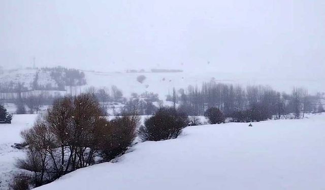 Tufanbeyli'de kar yağışı etkili oldu