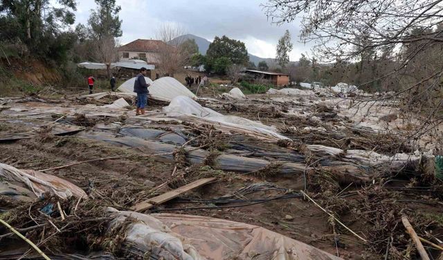 Tüm birikimlerini 1 saatte kaybettiler