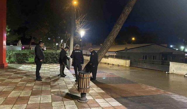 Yarım asırlık çam ağacı fırtınaya dayanamadı