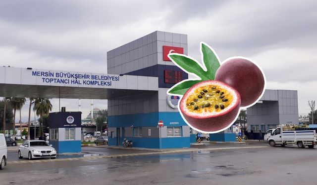 Bu meyvenin kilosu Mersin Hali’nde 880 TL