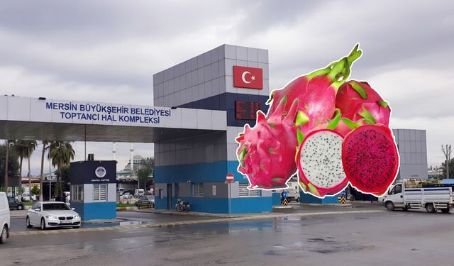 Ejder meyvesinin tanesi 210 TL oldu