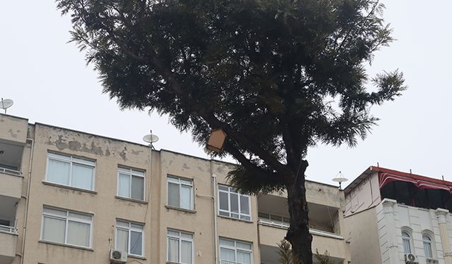 Mersin’de kuş evleri, kuşları soğuktan ve yağmurdan koruyor