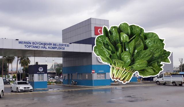 Mersin Hali’nde ıspanak 43 TL’den satılıyor