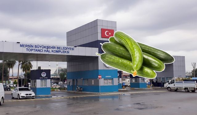 Zam şampiyonu: Çengelköy salatalığı Mersin Hali’nde 158 TL