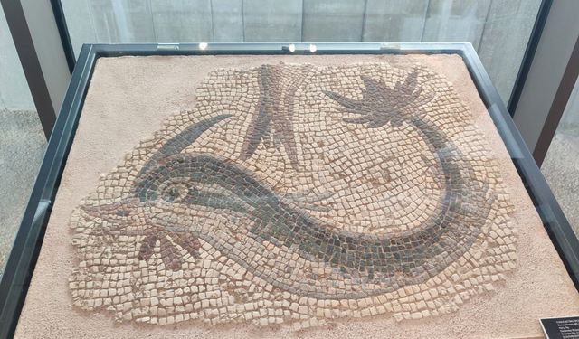 Milattan sonra 2’nci yüzyıla ait: Yunus Betimli Mozaik