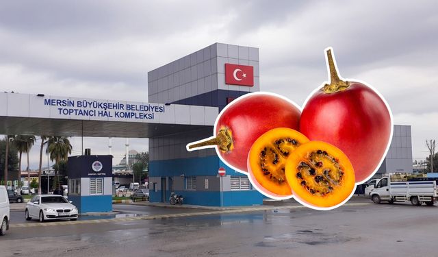 Ağaç domatesi nedir? Mersin’de fiyatı ne kadar?