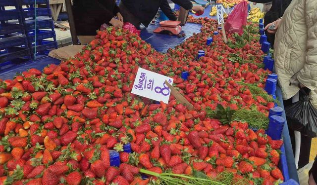 80 TL'lik çileğe yoğun ilgi