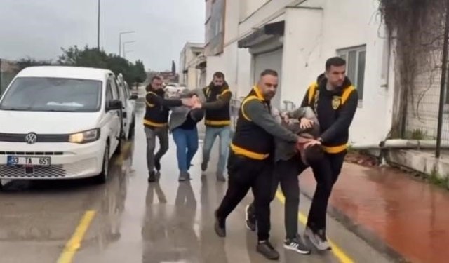 Atlara eziyet edenlere dikkat çeken ceza: Haftada 1 gün barınak temizleyecekler