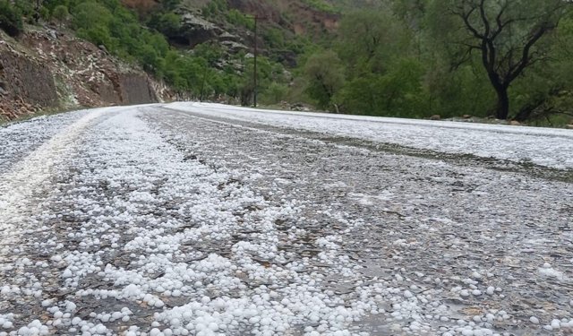 Erzincan'da dolu yağışı etkili oldu