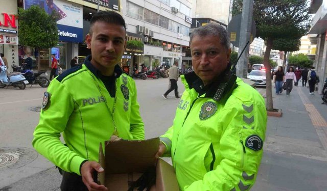 Göç yolunda yorgun düşen Ebabil kuşlarına polisten yürek ısıtan şefkat
