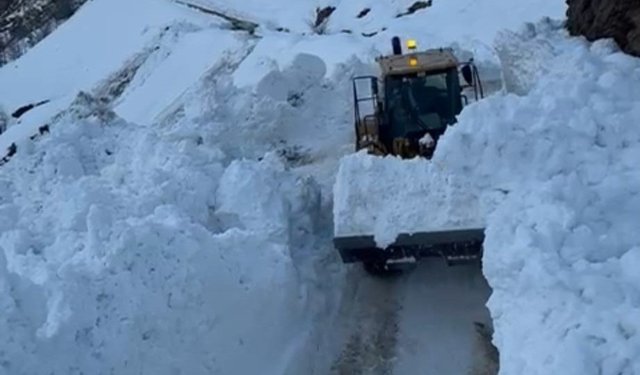 Hizan'da köy yoluna çığ düştü