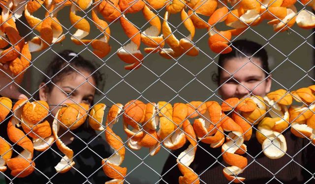 Limon ve turunç kabukları kadınların elinde değerleniyor