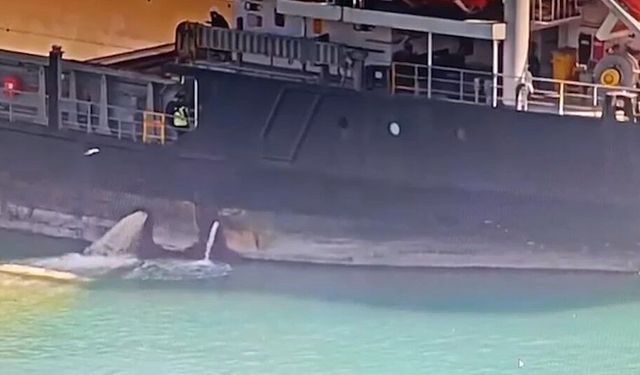 Mersin'de denizi kirleten gemiye 13 milyon TL ceza kesildi, gemi rıhtıma bağlandı