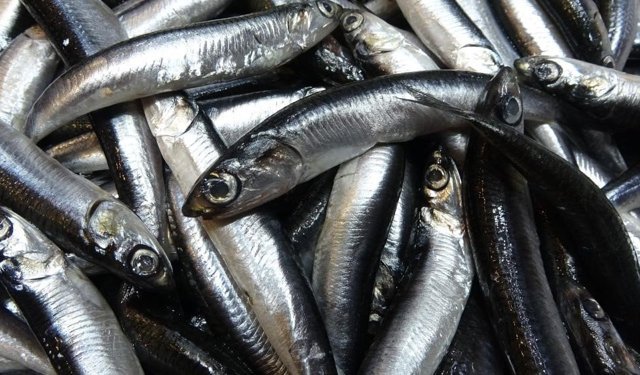 Savaş halindeki ülke ihracatta ilk sırayı aldı
