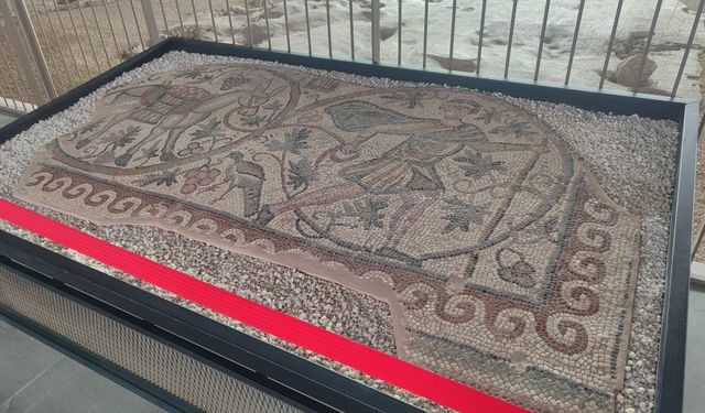 Tarihi günümüze taşıyan mozaik: Bağ Bozumu