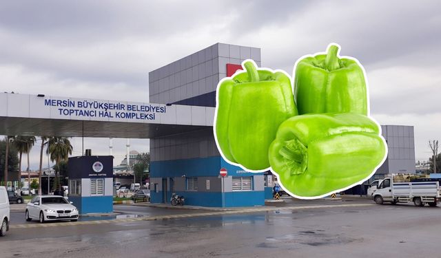 Biber dolması yapmak hayal oldu