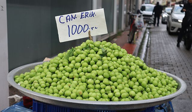 Mersin’de can erik görücüye çıktı: Kilosu bin TL!