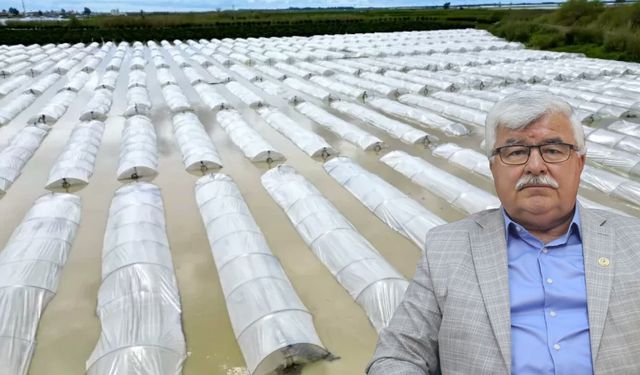 Mersin’de tarım arazileri selden ve hortumdan zarar gördü: "Üç kez ektiler üçü de gitti"