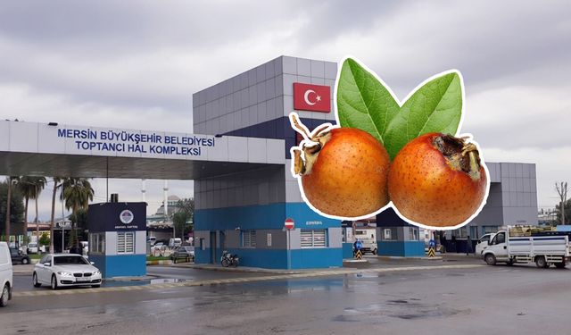 Mersin Hali’nde satışta: Muşmulanın fiyatı ve faydaları nelerdir?