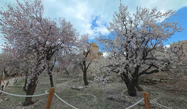 Akdamar Adası'nda renk cümbüşü