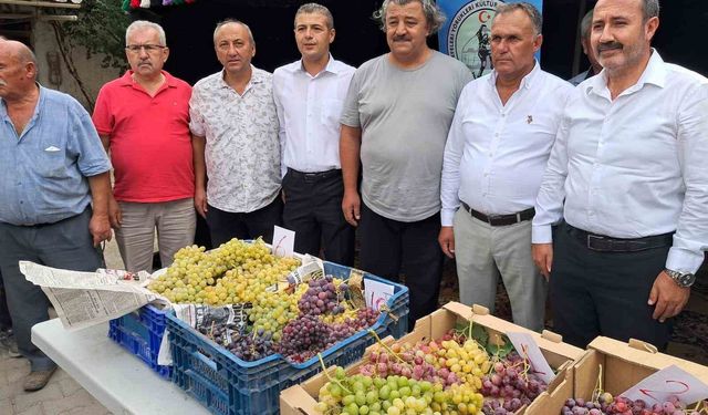 Avşar Üzümü coğrafi işaretle tescillendi