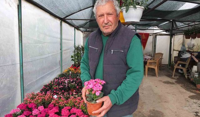 Burhaniye'de emekli bankacı 500 çeşit bitki yetiştirdi