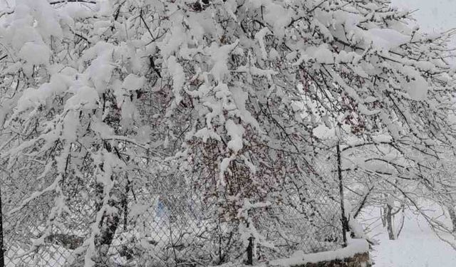 Denizli'nin yüksek kesimleri baharda beyaza büründü