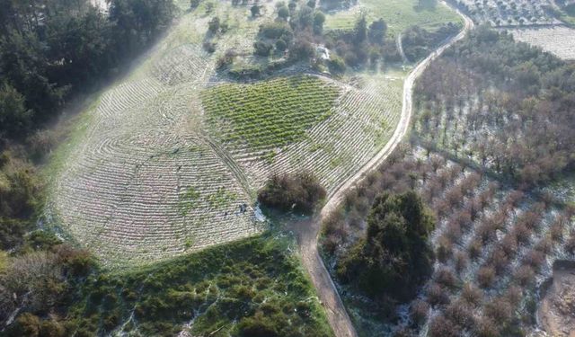 Mersin'de misket büyüklüğünde dolu etkili oldu: Orman ve bahçeler beyaza büründü