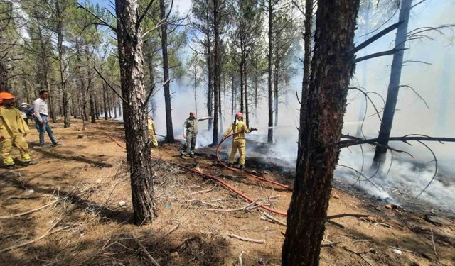 Mersin'de orman yangınlarına karşı tatbikat yapıldı