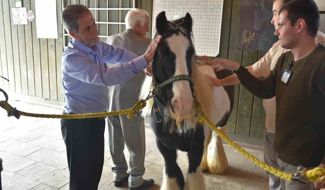Pendik'te atlarla şifa: Yaşlılar için atla terapi dönemi başladı