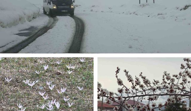 Van'da iki mevsim bir arada: Bir yanda bahar, diğer yanda kış