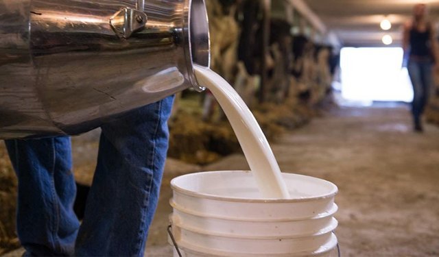Açıkta satılan çiğ süt sağlıklı mıdır? Açık süt alırken nelere dikkat edilmelidir?