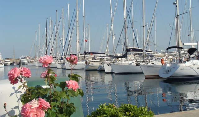 Türkiye kıyıları artık dünya markası