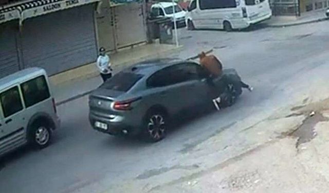El sallayıp karşıya geçmek isterken otomobil böyle çarptı
